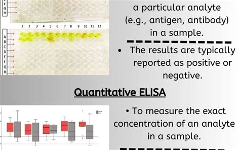 elisa test quantitative or qualitative|is elisa quantitative or qualitative.